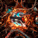 RoadiesMotoedition_Tripper Kaleidoscope