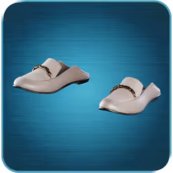 Elegant loafer