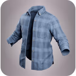 Blue plaid shirt