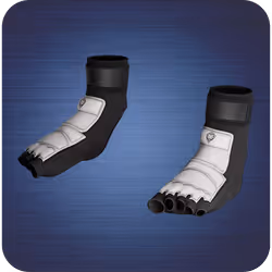 Karate foot gear