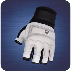 Karate gloves