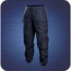 Security pants