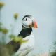 imsn123.lens-Collect-238