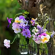 nesli.lens-Collect-121