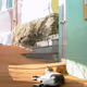 silentscop3.lens-Collect-871