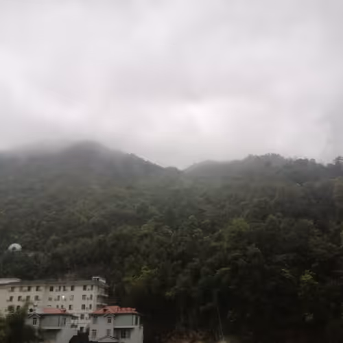 zhang11051.lens-Collect-139