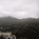 zhang11051.lens-Collect-139