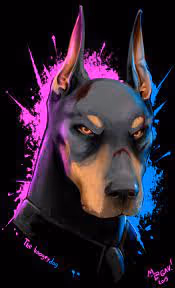 Doberman