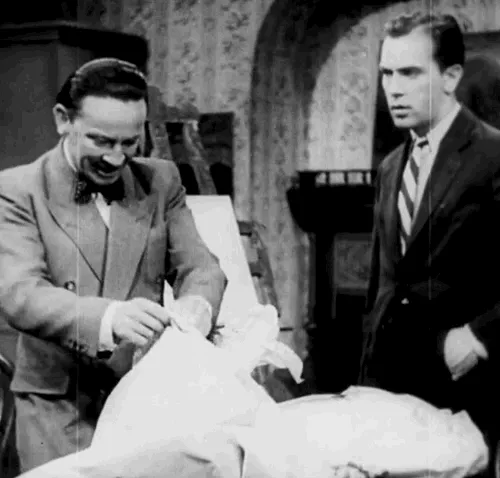 priscilla_chan.lens-Collect-480