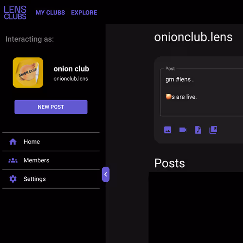 onionclub_intern.lens-Collect-3