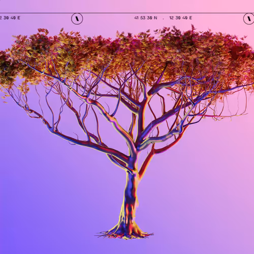 TBWA Indaba Tree  Viola