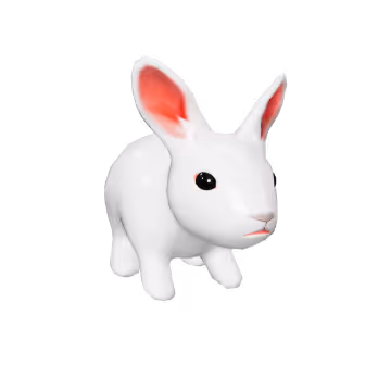 White Rabbit