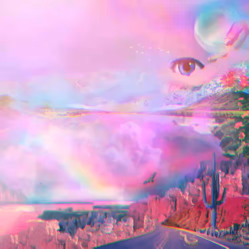 Apollyonparadiso Collection