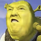 irpin