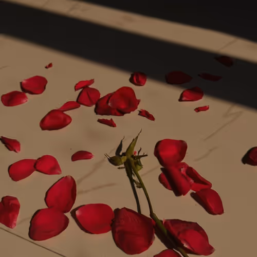 leog001.lens-Collect-280