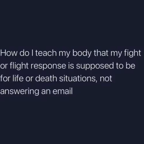 tkthelegend.lens-Collect-258