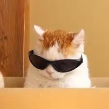 Item #107839786668602559178668060348078522694548577690162289924414440996865 Media