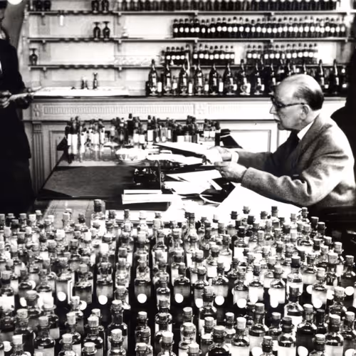 fanatic.lens-Collect-1142