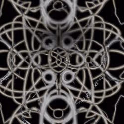 Manifest #3