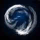 snegrid