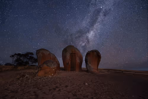 Item #80879840001451919384001045261058892020911433267621717443310830747649 Media