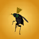 Tiny Fly King