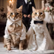 Majestic Feline Wedding