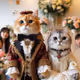 Majestic Feline Wedding