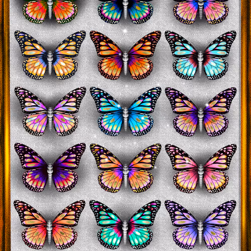 Mariposa Butterflies