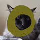 Cranky Kiki