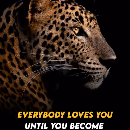 Lens Collect | Profile #101798 - Publication #3584