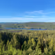 diogor.lens-Collect-739