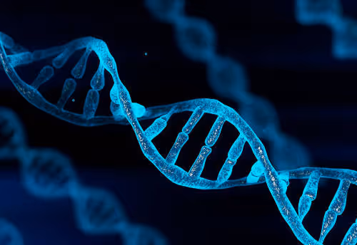 DNA