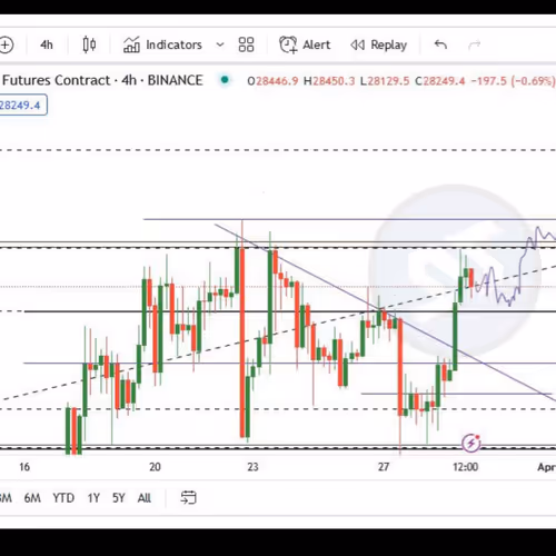 14-feb.lens-Collect-122