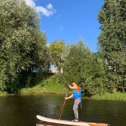 sdsa