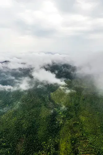 oooo3.lens-Collect-973