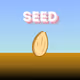 PolygonSeed2024