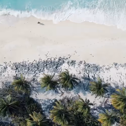 millionrecords.lens-Collect-2251