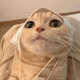 nanwang