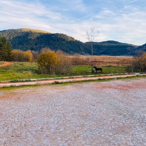 burn1.lens-Collect-426