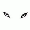 Eyes