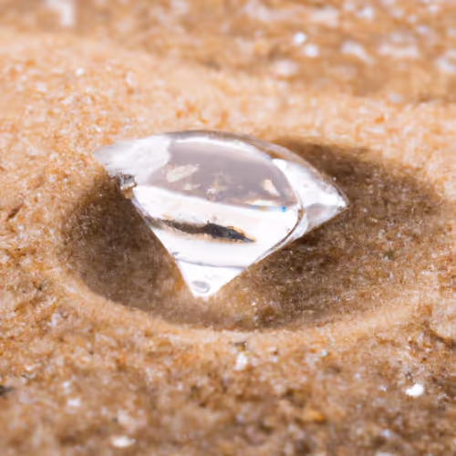 my omnichain collection