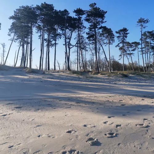 BalticSea