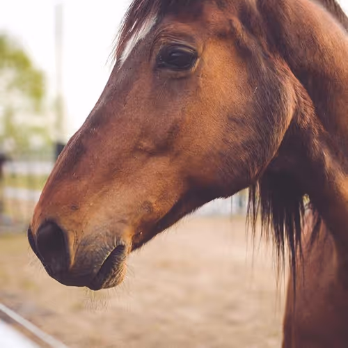 mainstory.lens-Collect-1630