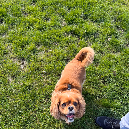 zospours.lens-Collect-2613