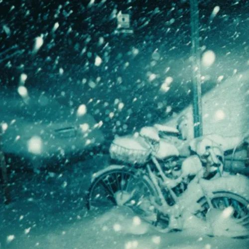 sushi_1523.lens-Collect-95