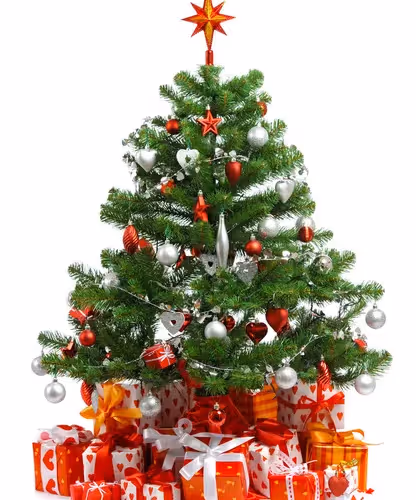 collection2 - xPJB4JGISV