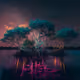 NFTree Glowing Mangrove