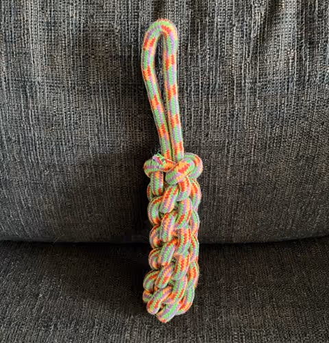 doggie toys