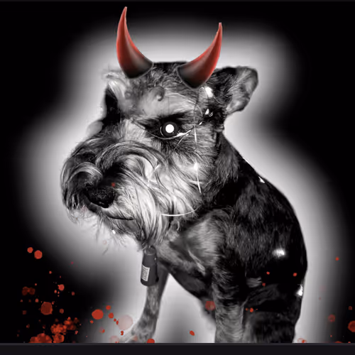 Dogfi